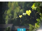 青岛版七年级数学上册1.1《我们身边的图形世界》 课件
