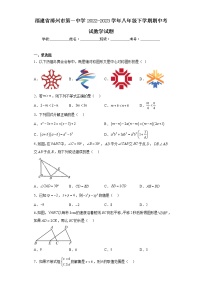 福建省漳州市第一中学2022-2023学年八年级下学期期中考试数学试题