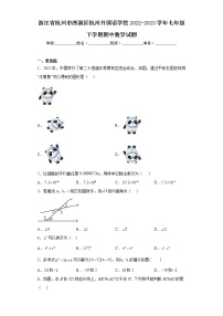 浙江省杭州市西湖区杭州外国语学校2022-2023学年七年级下学期期中数学试题