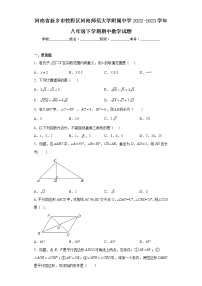 河南省新乡市牧野区河南师范大学附属中学2022-2023学年八年级下学期期中数学试题