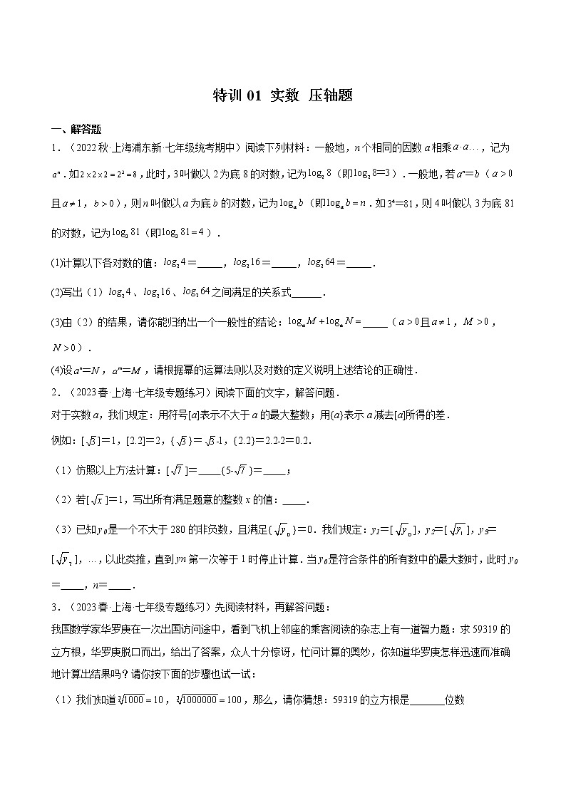 特训01 实数 压轴题-2022-2023学年七年级数学下册期中期末挑战满分冲刺卷（沪教版，上海专用）01