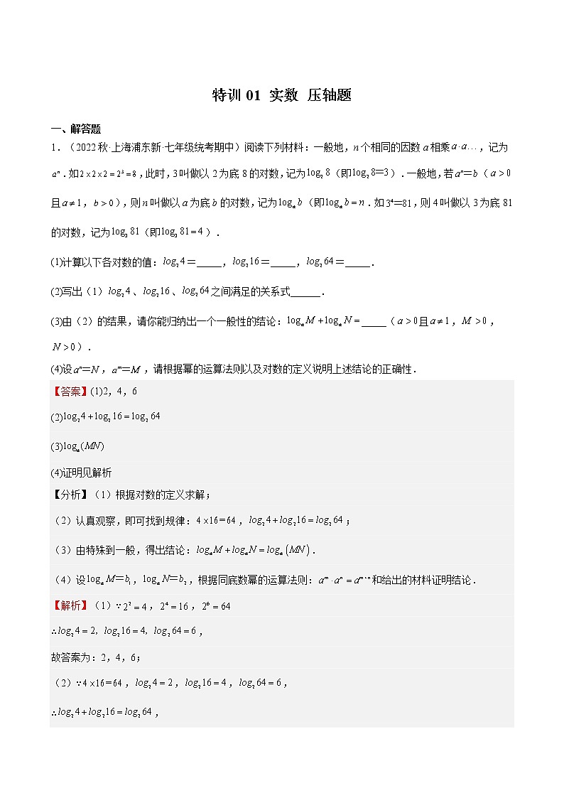 特训01 实数 压轴题-2022-2023学年七年级数学下册期中期末挑战满分冲刺卷（沪教版，上海专用）01
