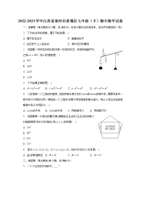 2022-2023学年江苏省泰州市姜堰区七年级（下）期中数学试卷（含解析）