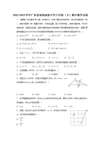 2022-2023学年广东省深圳高级中学八年级（下）期中数学试卷（含解析）