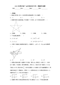 2023年四川省广元市利州区中考一模数学试题