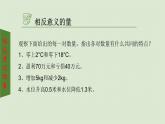 2.1有理数 课件 青岛版数学七年级上册