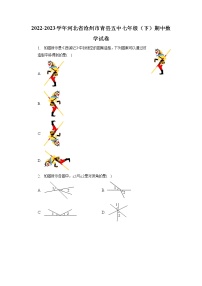 河北省沧州市青县五中2022-2023学年七年级下学期期中数学试卷