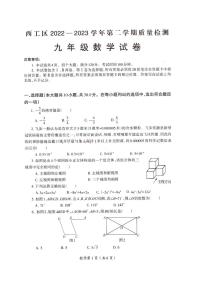 河南省洛阳市西工区2022-2023学年九年级下学期一模数学