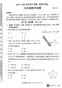 山东省临沂市临沭县2022-2023学年九年级下学期4月期中数学试题