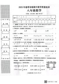 广西壮族自治区贺州市昭平县2022-2023学年八年级下学期期中自主检测数学试卷