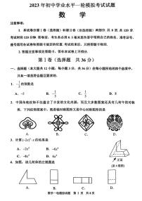 2023年山东省临沂市沂南县九年级一模数学试题