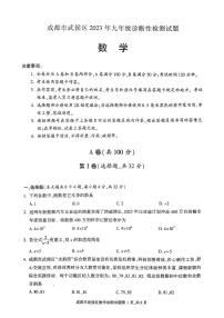 2023年四川省成都市武侯区九年级二诊数学试题