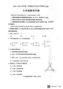 山东省聊城市阳谷县2022-2023学年+七年级下学期数学期中学业水平检测与反馈试题