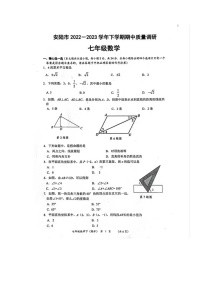 湖北省孝感市安陆市2022-2023学年七年级下学期期中质量调研数学试题