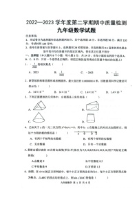 山东省菏泽市单县2022-2023学年九年级下学期4月期中数学试题