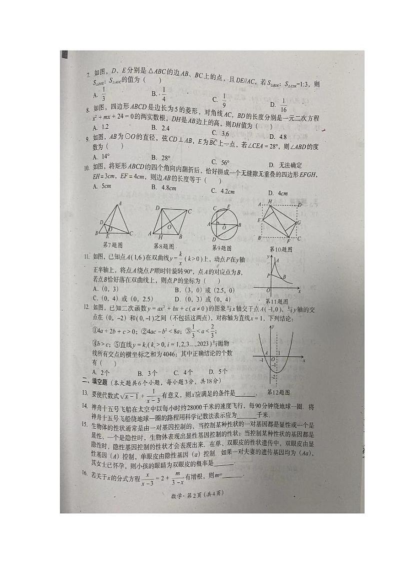 2023年四川省巴中市中考适应性考试数学试卷02