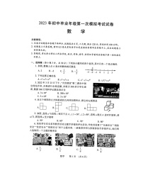 2023年河南省濮阳市一模数学试题