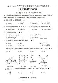 江苏省连云港市灌南县2022-2023学年下学期期中学业水平测试九年级数学试题