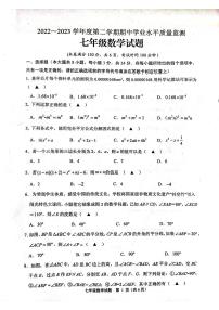 江苏省连云港市灌南县2022-2023学年下学期期中学业水平测试七年级数学试题