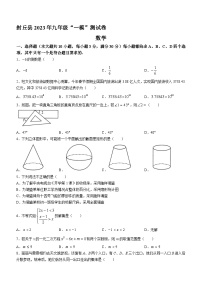 2023年河南省封丘县中考一模数学试题(含答案)