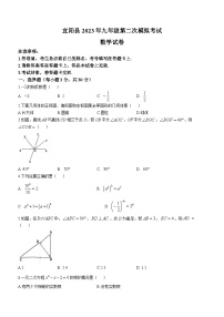 2023年河南省洛阳市宜阳县中考二模数学试题(含答案)