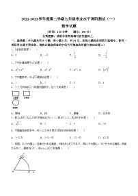 2023年江苏省淮安市洪泽区中考一模数学试题(含答案)