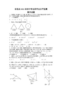 四川省成都市乐至县2023年初中毕业班学业水平监测数学试题(含答案)