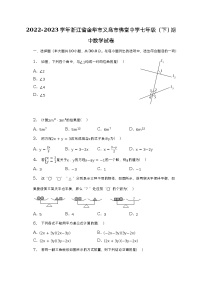 2022-2023学年浙江省金华市义乌市佛堂中学七年级（下）期中数学试卷（含解析）