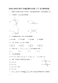 2022-2023学年广东省东莞市七年级（下）期中数学试卷（含解析）