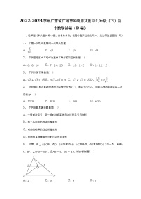 2022-2023学年广东省广州市华南师大附中八年级（下）期中数学试卷（B卷）（含解析）