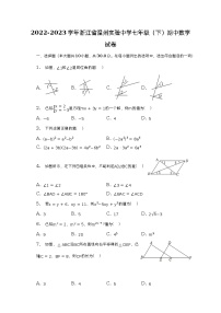 2022-2023学年浙江省温州实验中学七年级（下）期中数学试卷（含解析）