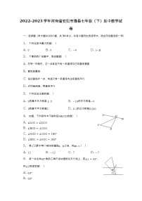 2022-2023学年河南省安阳市滑县七年级（下）期中数学试卷（含解析）
