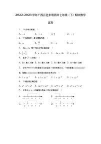 广西百色市靖西市2022-2023学年七年级下学期期中数学试卷