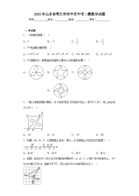 2023年山东省枣庄市市中区中考二模数学试题