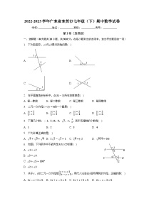 广东省东莞市2022-2023学年七年级下学期期中数学试卷(含答案)