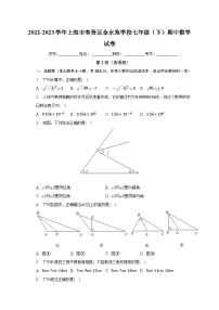 上海市奉贤区金水苑中学2022-2023学年七年级下学期期中数学试卷(含答案)