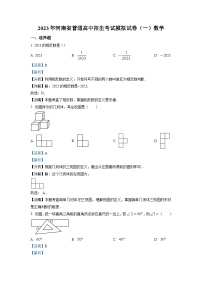 2023年河南省实验中学中考一模数学试题(含解析)