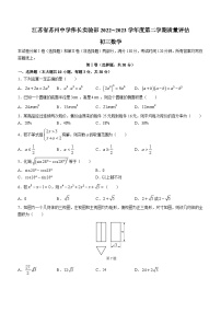 2023年江苏省苏州中学伟长实验部年九年级下学期质量评估数学试题(含答案)