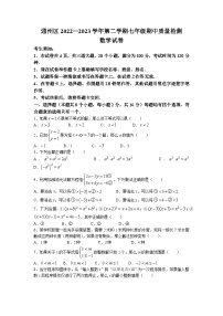 北京市通州区2022-2023学年七年级下学期期中考试数学试卷+