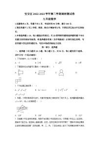 2023年广东省深圳市宝安区中考二模数学试卷