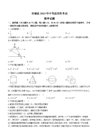 2023年湖北省襄阳市谷城县中考适应性考试数学试题（含答案）