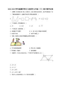 2022-2023学年新疆伊犁州八校联考七年级（下）期中数学试卷（含解析）