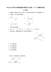 2022-2023学年云南省昭通市昭阳区七年级（下）月考数学试卷（4月份）（含解析）