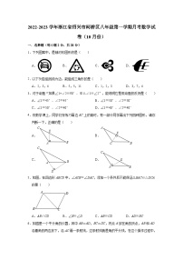 浙江省绍兴市柯桥区2022-2023学年八年级（上）月考数学试卷（10月份）(解析版)