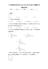 广东省深圳市宝安中学2022-2023学年七年级下学期期中考试数学试卷