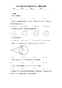 2023年浙江省台州温岭市中考一模数学试题