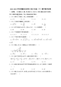 安徽省合肥市八校2022-2023学年八年级下学期期中数学试卷 (含答案)