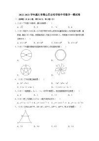 2023年广东省湛江市霞山区启明学校中考数学一模试卷 (含答案)