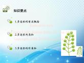 19.1 多边形内角和 沪科版八年级数学下册教学课件