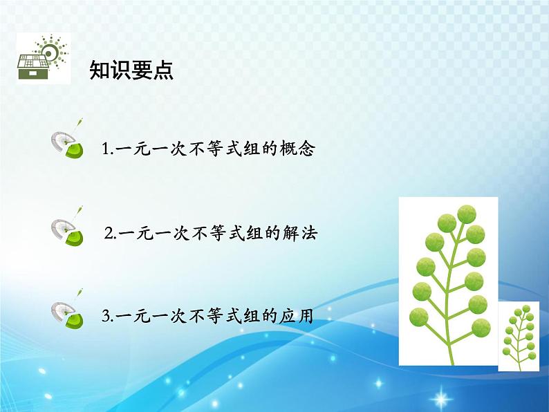 9.3 一元一次不等式组 新人教版七年级数学教学课件第2页